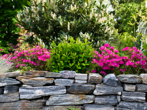 Why Use Crushed Stone for Landscape Projects?